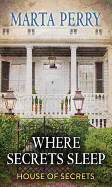 Where Secrets Sleep