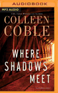 Where Shadows Meet: A Romantic Suspense Novel