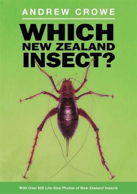 Which New Zealand Insect? - Crowe, Andrew