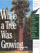 While a Tree Was Growing
