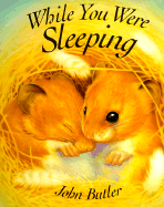 While You Were Sleeping