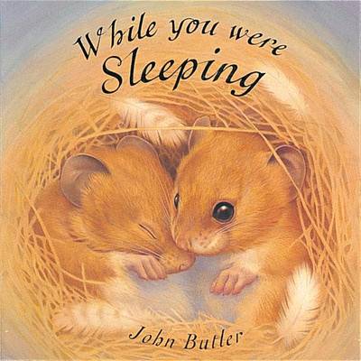 While You Were Sleeping - 