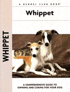 Whippet