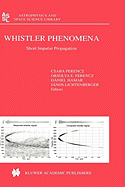 Whistler Phenomena: Short Impulse Propagation