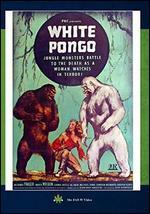 White Pongo