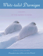 White-Tailed Ptarmigan: Ghosts of the Alpine Tundra