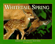 Whitetail Spring