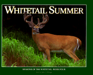 Whitetail Summer