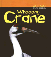 Whooping Crane - Theodorou, Rod