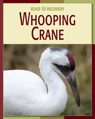 Whooping Crane - Gray, Susan H, and Stehn, Tom (Consultant editor)