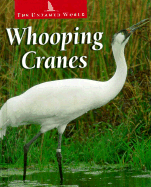 Whooping Cranes
