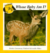 Whose Baby Am I?