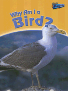 Why Am I a Bird?