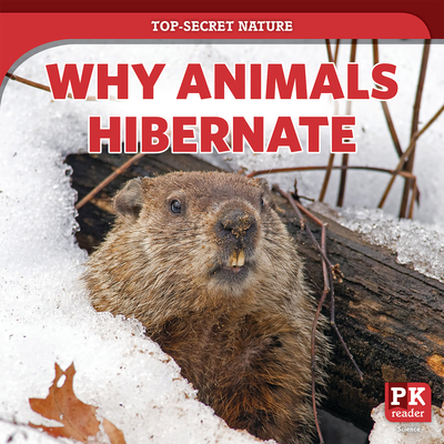 Why Animals Hibernate - Rogers, Marie