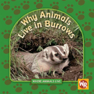 Why Animals Live in Burrows