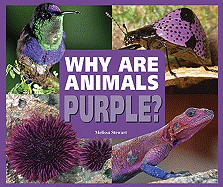Why Are Animals Purple?