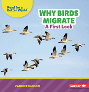 Why Birds Migrate: A First Look
