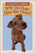Why Do Dogs Have Wet Noses?