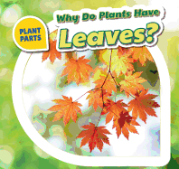 Why Do Plants Have Leaves?