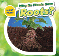 Why Do Plants Have Roots?
