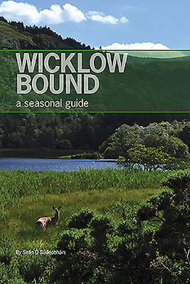 Wicklow Bound: A Seasonal Guide - 