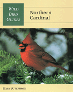 Wild Bird Guide: Northern Cardinal