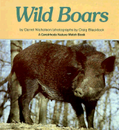 Wild Boars