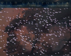Wild California
