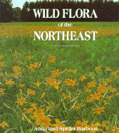 Wild Flora of the Northeast
