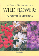 Wild Flowers