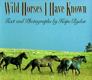 Wild Horses I Have Known