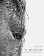 Wild Horses of Cumberland Island