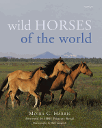Wild Horses of the World