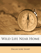 Wild Life Near Home