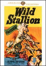 Wild Stallion