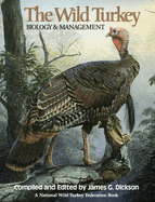 Wild Turkey