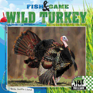 Wild Turkey
