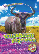 Wildebeest Migration