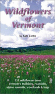 Wildflower of Vermont