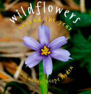 Wildflowers Around the Year