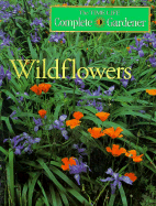 Wildflowers