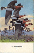 Wildfowl