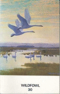 Wildfowl