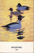 Wildfowl