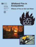 Wildland Fire in Ecosystems: Effects of Fire on Soil and Water