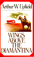 Wings Above the Diamantina
