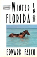 Winter in Florida