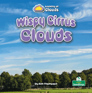 Wispy Cirrus Clouds