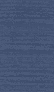 Wittgenstein Conversations, 1949-1951