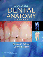 Woelfels Dental Anatomy: .